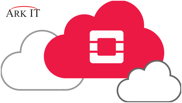 Cloud Managed Service on Ark IT Cloud