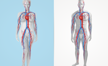 Interactive Bodymap